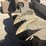 #5095-•-bobcat-24"-skid-steer-auger-image-1