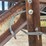 #8627-•-carry-away-conveyor-unit-(maq)-image-29