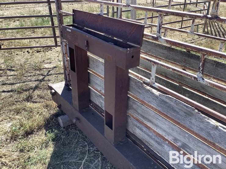 ww-800-livestock-scale-image-13