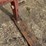 3pt-pak-forks-image-9