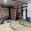 werner-10'-fiberglass-ladder-image-1