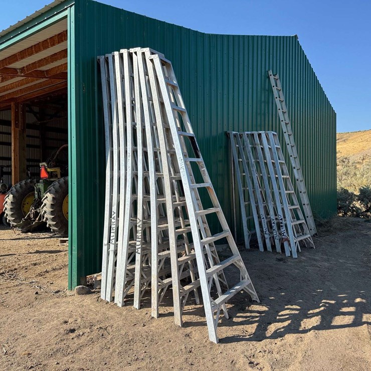 10' Aluminum Orchard Ladders