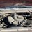 2008-ford-f250-image-7