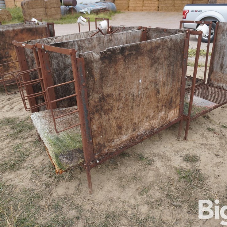 Raised Calf Crates