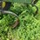 john-deere-11-image-11