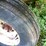 #4441-•-kicker-wagon-image-17