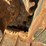 2016-caterpillar-336fl-image-9