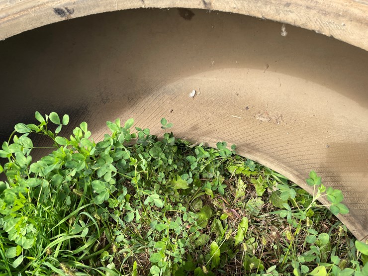#4469-•-armstrong-tractor-tire-image-9