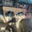 #4432-•-1989-international-grain-truck-(no-title)-image-45