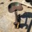 john-deere-b-image-4