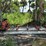 #102-•-2025-mecmaxx-stationary-bandmill-image-1