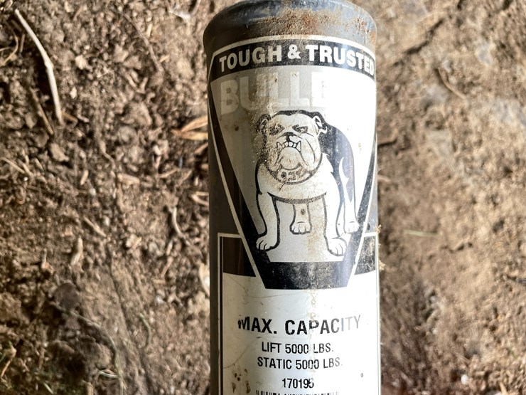 #4490-•-bulldog-jack-image-4