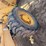 john-deere-310d-image-13