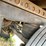 2019-stoughton-trailer-image-38
