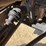 polaris-sportsman-700-image-29