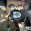 #4432-•-1989-international-grain-truck-(no-title)-image-53