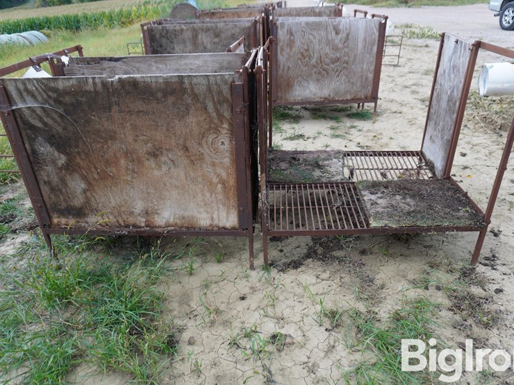 raised-calf-crates-image-8