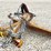 gill-7'-3-pt.-grader-blade,-from-the-estate-of-dr.-ken-buchmann-image-2