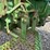 1966-john-deere-4020-image-24