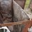 raised-calf-crates-image-18