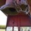 1988-bp-6.5'x12'-s/a-livestock-trailer-image-9