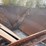 #8628-•-carry-away-conveyor-unit-(maq)-image-26