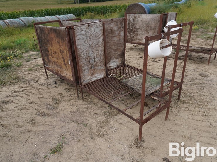 raised-calf-crates-image-7