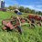 new-holland-super-55-image-6