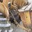 john-deere-401-image-28