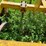 #4437-•-landoll-(7)-tooth-chisel-plow-image-11