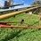 #4476-•-westfield-80-51-auger-elevator-image-19