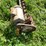 #4477-•-8'-grain-sweep-image-8