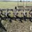 dakon-3pt-cultivator-168-image-2