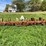 #4474-•-ih-153-cultavator-image-2