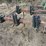 custom-152"-chisel-plow-image-9