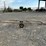 13'-farm-cart-image-9