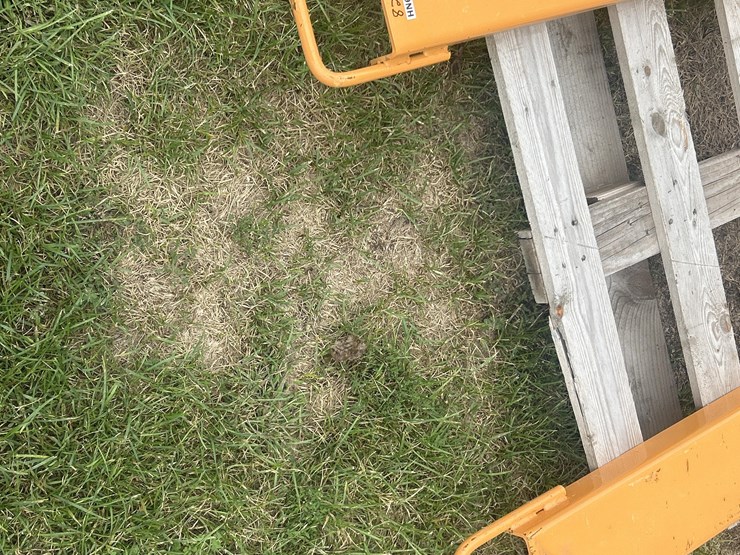 pallet-forks-image-6