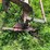 international-710-image-13