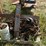 #153-•-pats-barn-sweep-conveyor-image-29
