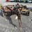 international-8-image-2