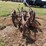 antique-single-bottom-plow-image-3