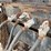 #1040-•-2018-assembled-26'-log-trailer-image-45