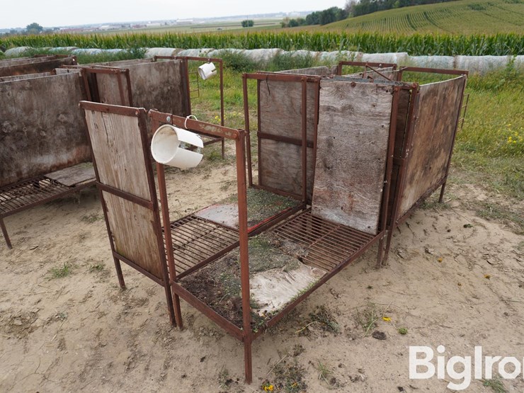 raised-calf-crates-image-5