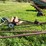 #4475-•-allied-auger-elevator-image-6