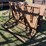 calf-table-95-image-1