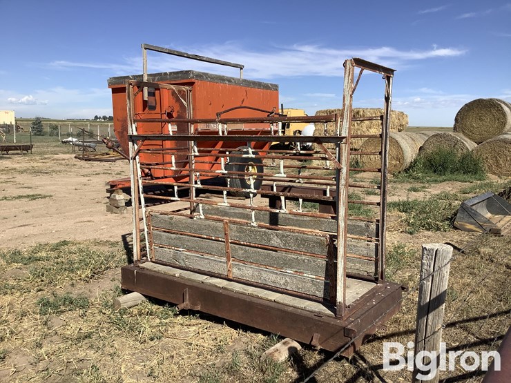 ww-800-livestock-scale-image-7