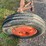 #1039-•-1955-allis-chalmers-wd-45-image-11