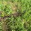 john-deere-11-image-3