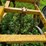 #4437-•-landoll-(7)-tooth-chisel-plow-image-12