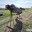 hutchinson-6’-grain-cleaner-image-1